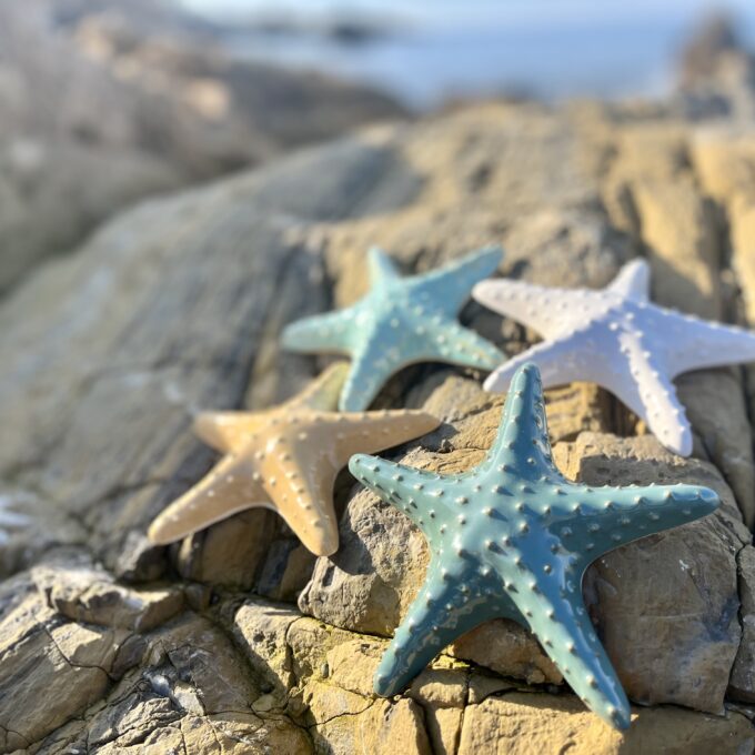 Etoiles de mer décoratives artisanales en céramique grès blanc posé sur la plage