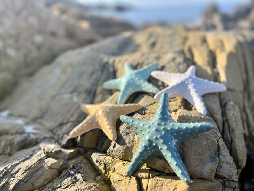 Etoiles de mer décoratives artisanales en céramique grès blanc posé sur la plage