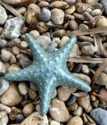 Etoile de mer décorative artisanale bleu en céramique grès blanc posé sur la plage