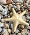 Etoile de mer décorative artisanale jaune en céramique grès blanc posé sur la plage