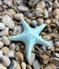 Etoile de mer décorative artisanale vert d'eau en céramique grès blanc posé sur la plage
