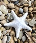 Etoile de mer décorative artisanale en céramique grès blanc posé sur la plage