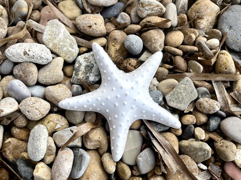 Etoile de mer décorative artisanale en céramique grès blanc posé sur la plage