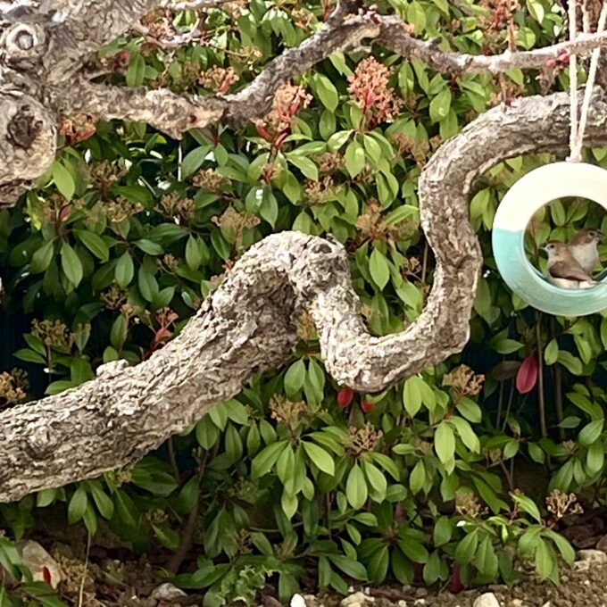 Mangeoire à oiseaux en céramique artisanale