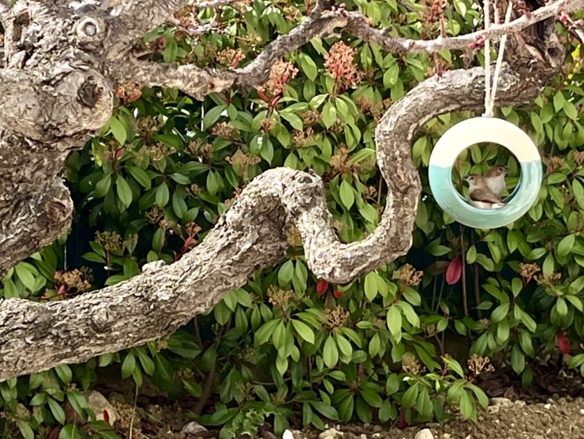 Mangeoires à oiseaux en céramique artisanale
